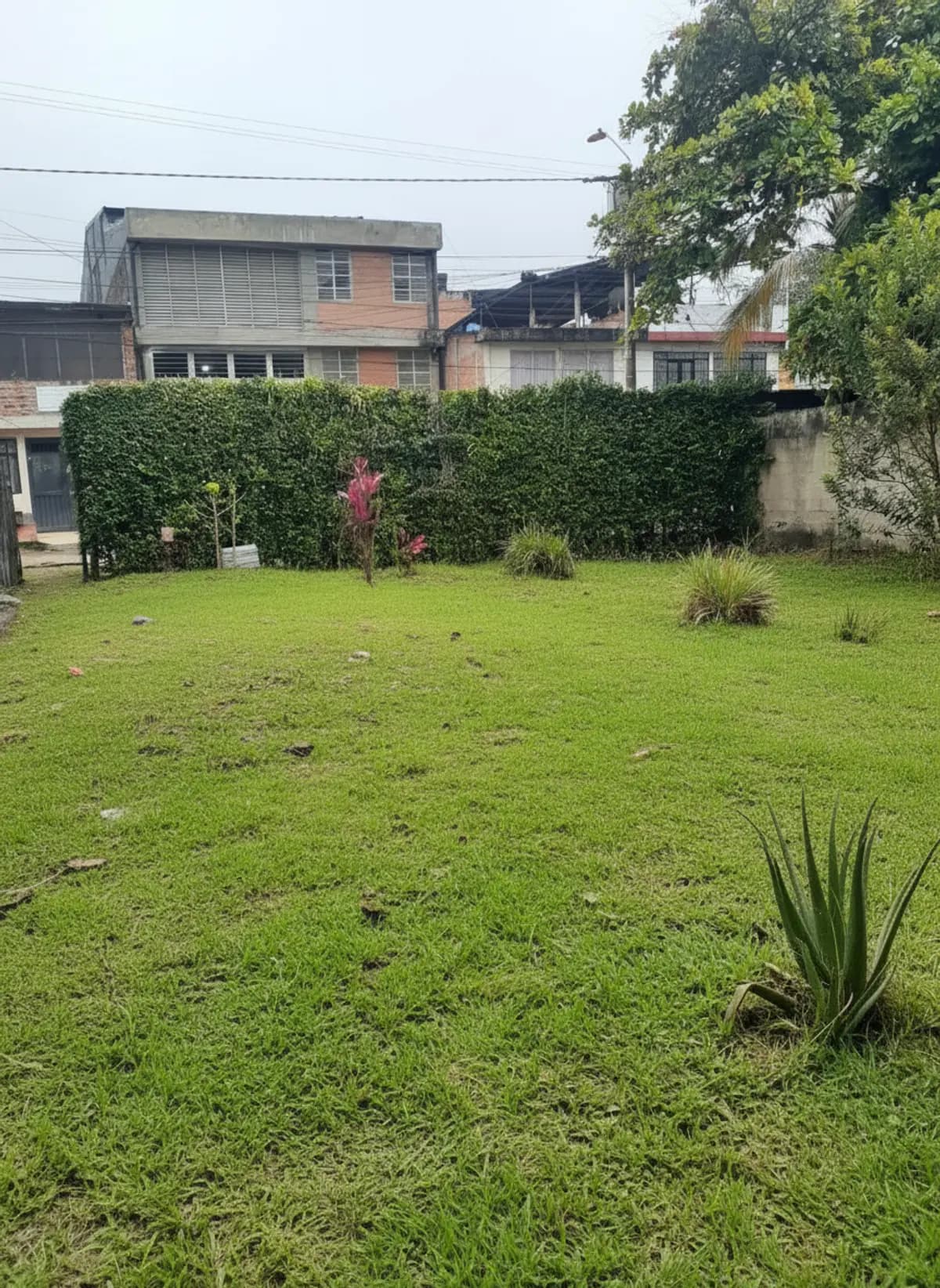 Lote Montecarlo Salado